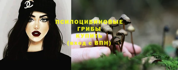 гидропоника Арсеньев