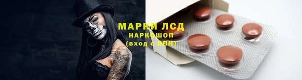 гидропоника Арсеньев