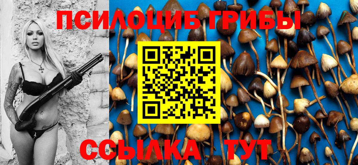 Псилоцибиновые грибы мухоморы  Псилоцибиновые грибы Psilocybine cubensis  цена   Вход с VPN  Волхов 