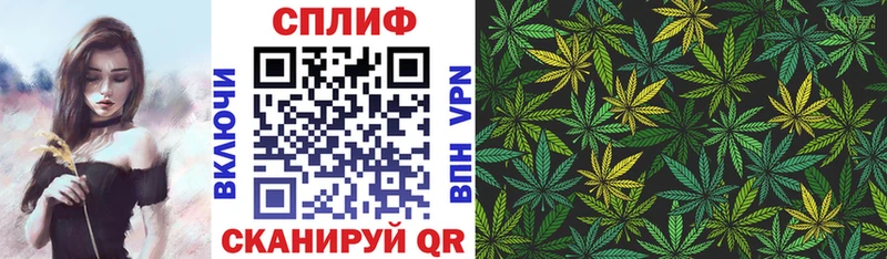 Бошки марихуана MAZAR  блэк спрут ССЫЛКА  Волхов 